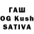 Конопля сатива fRENny mOttO