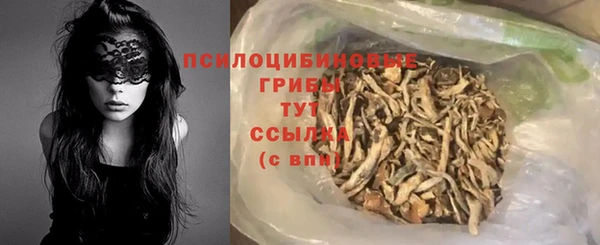 амф Липки