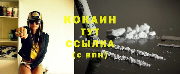 амф Липки