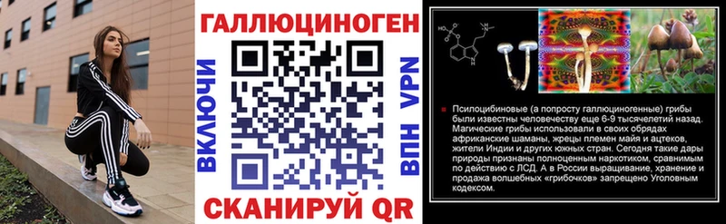 Псилоцибиновые грибы Psilocybe  закладка  Энгельс 